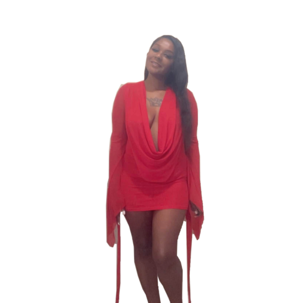 Deep V Neck Backless Sheer Dress